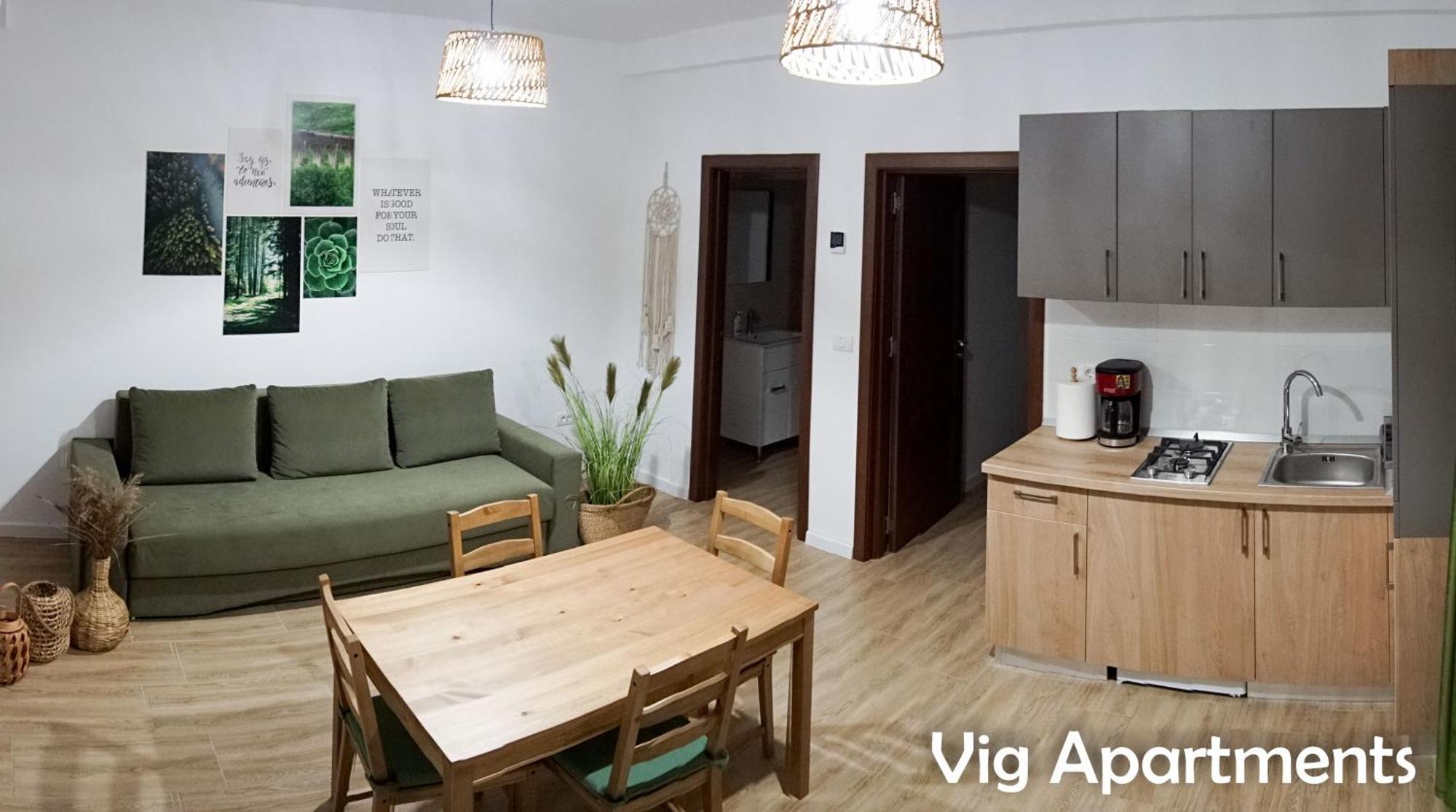 טימישוארה Vig Apartments מראה חיצוני תמונה