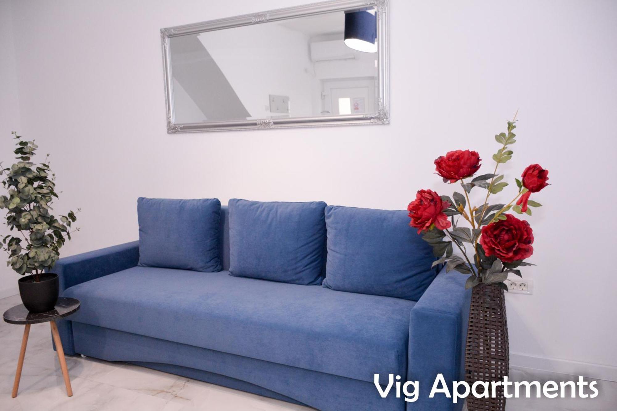 טימישוארה Vig Apartments מראה חיצוני תמונה