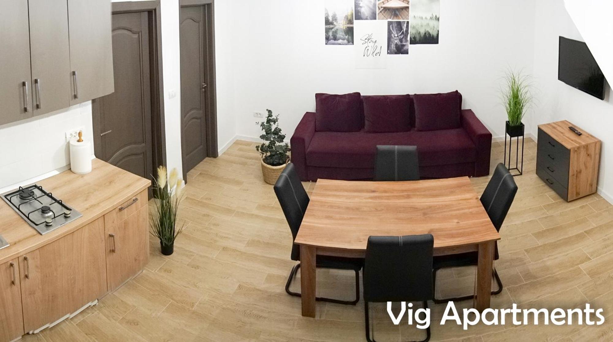 טימישוארה Vig Apartments מראה חיצוני תמונה